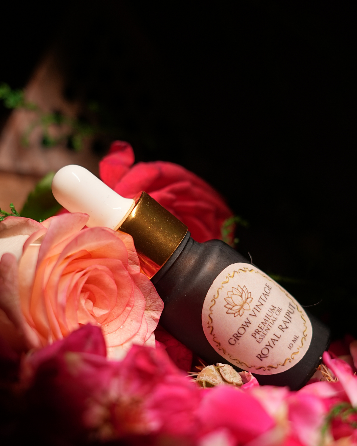Royal Rajput Essential Oil