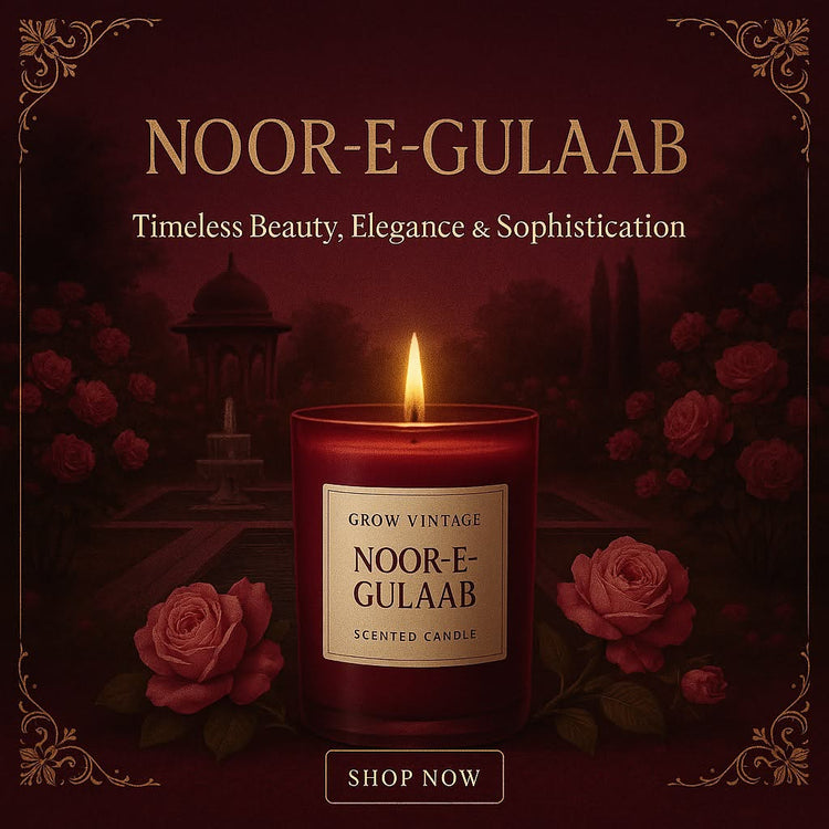 NOOR -E- GULAAB