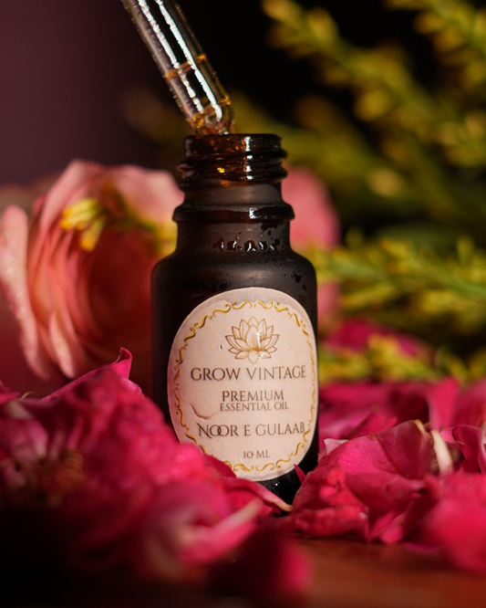 Noor-E-Gulaab Essential Oil