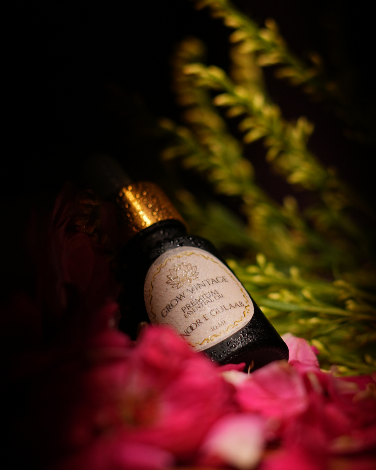 Noor-E-Gulaab Essential Oil