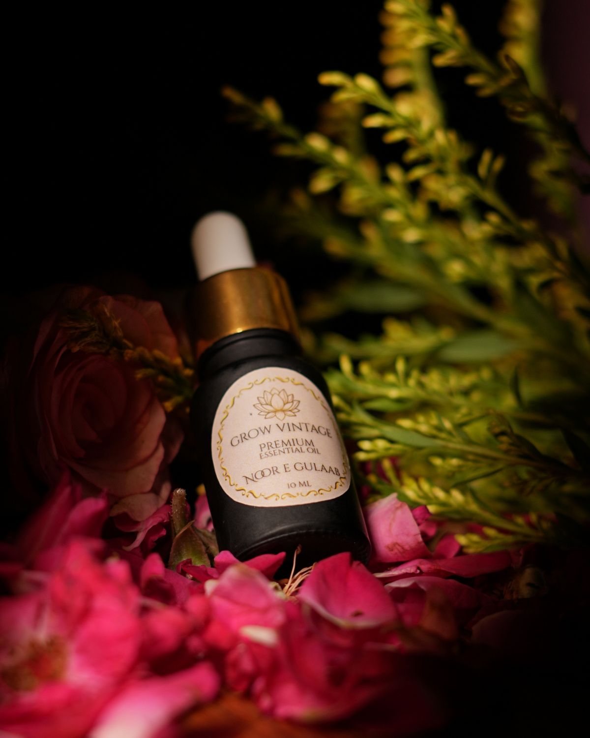 Noor-E-Gulaab Essential Oil