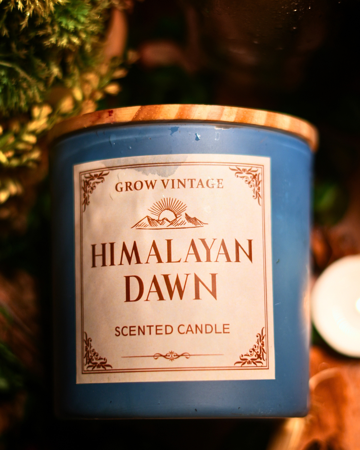 Candles