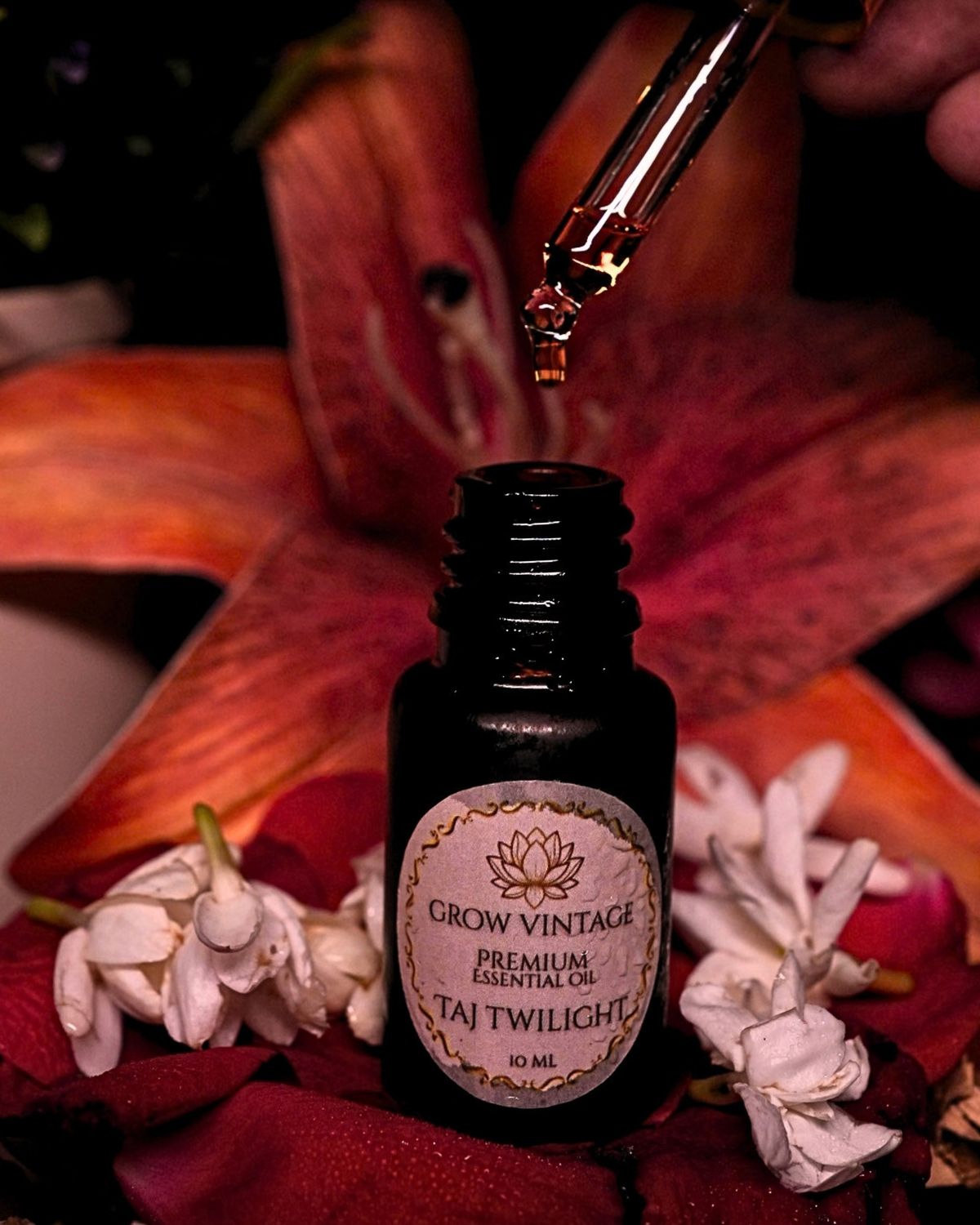 Taj Twilight Essential Oil