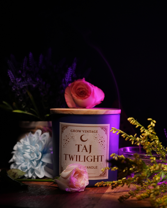 Taj Twilight Three-Wick Scented Candle