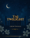 Taj Twilight | Luxury Fragrance Diffuser| Reed Diffuser Oil (100 ML)