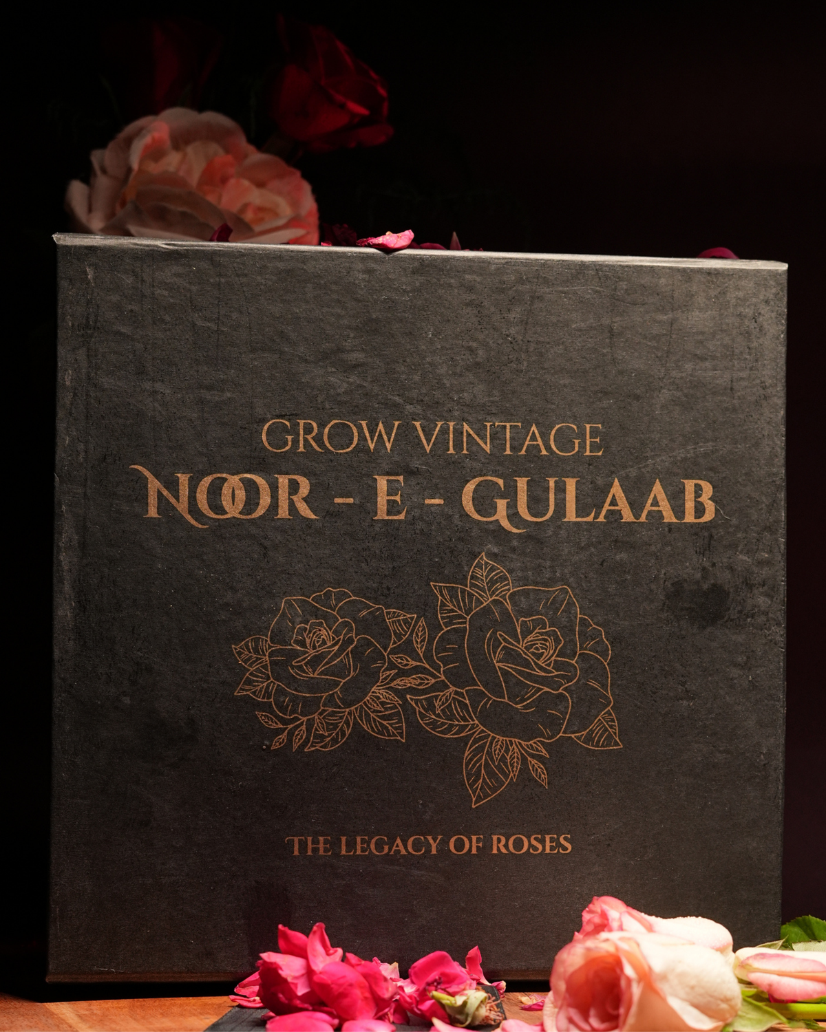 Gift Set