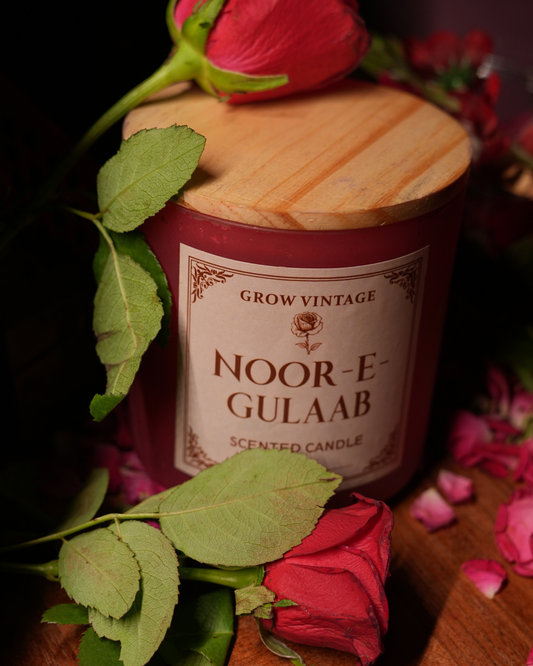 Noor-E-Gulaab Three-Wick Scented Candle