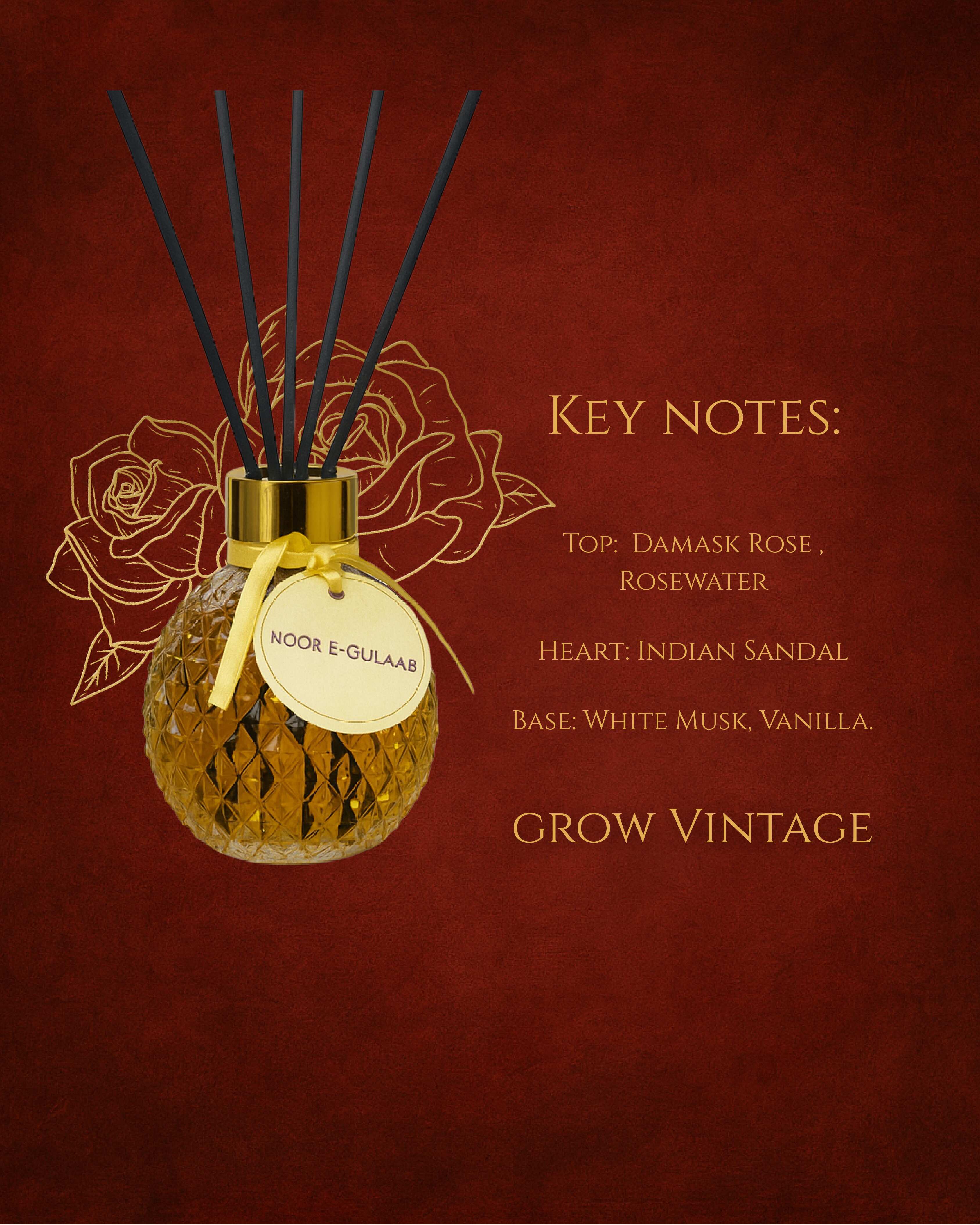 Noor-e-Gulaab | Reed Diffuser Oil with sticks (100 ML) | Room Fragrance